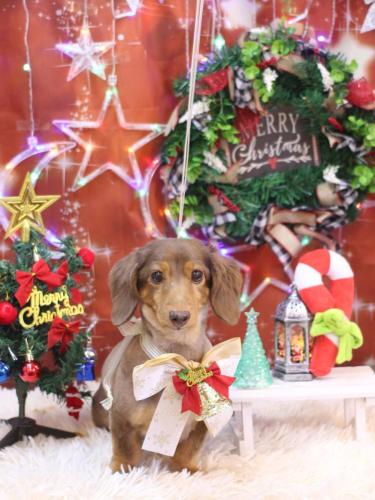 20231210モカくん